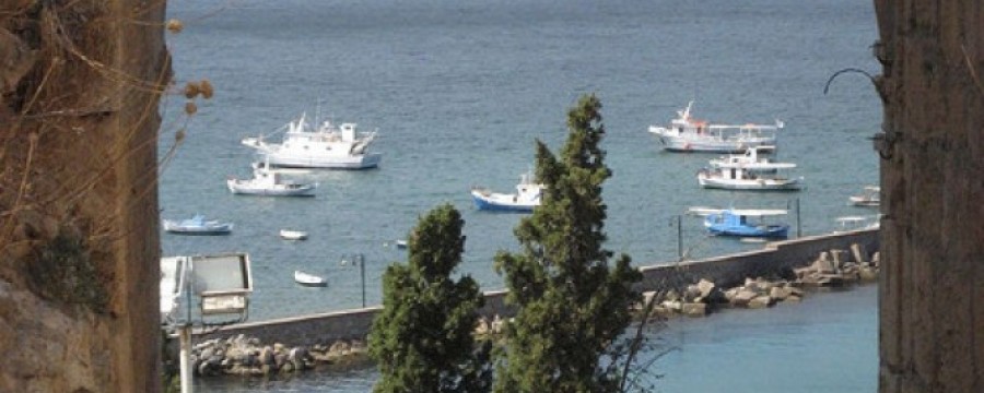 234129905_6f9b02e345_z-5d6f696af4